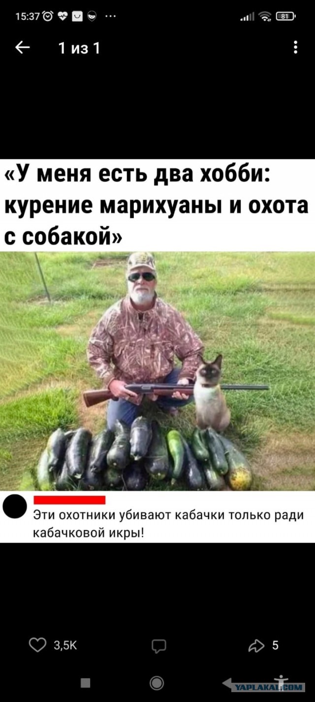 Одной картинки пост