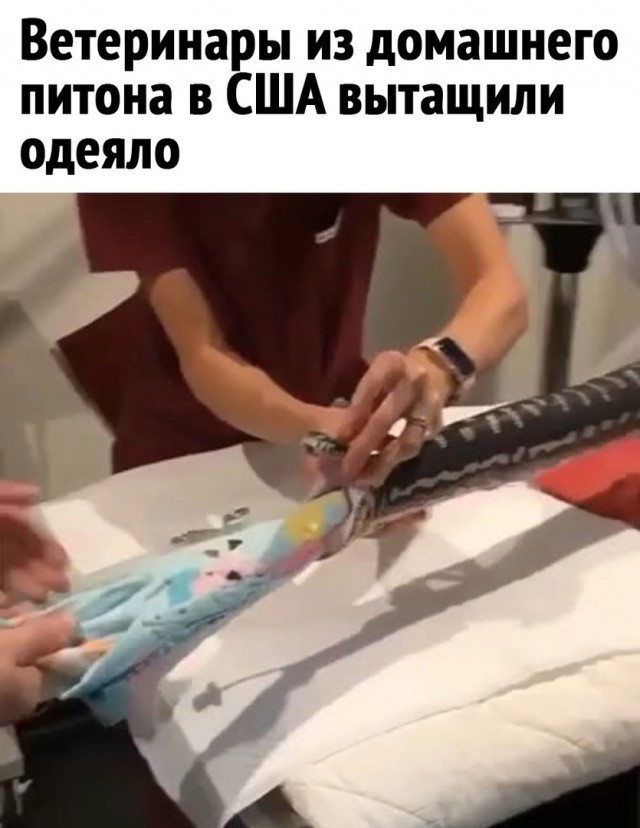Чуток картинок 26.07.22