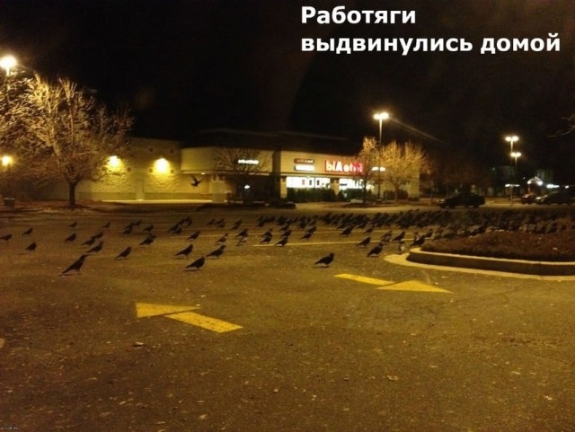 Так себе картинки 30.07.22