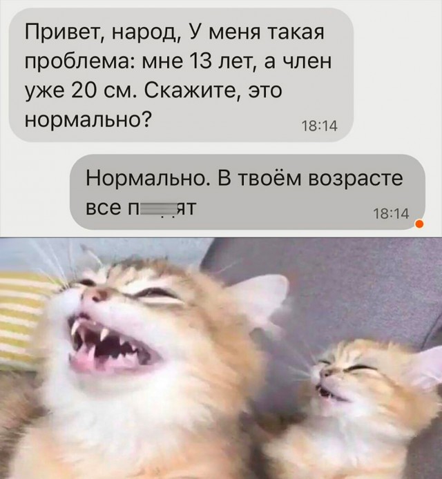 Так себе картинки 21.10.22