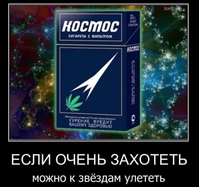 Победная поступь идиотизма по планете – том 12
