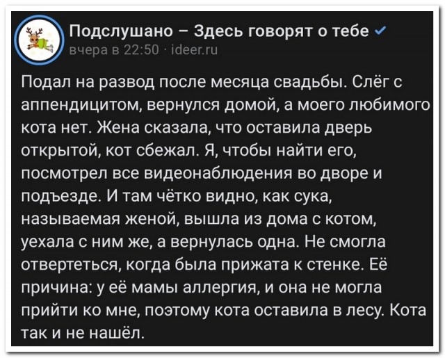 Забавные комментарии из социальных сетей (07.08.23)