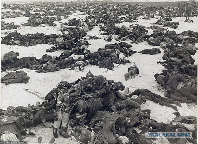 Мифы о великой войне