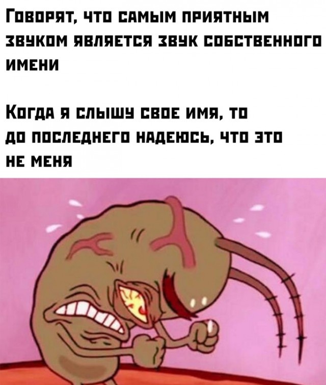 Весёлый полтишок 01.10.23