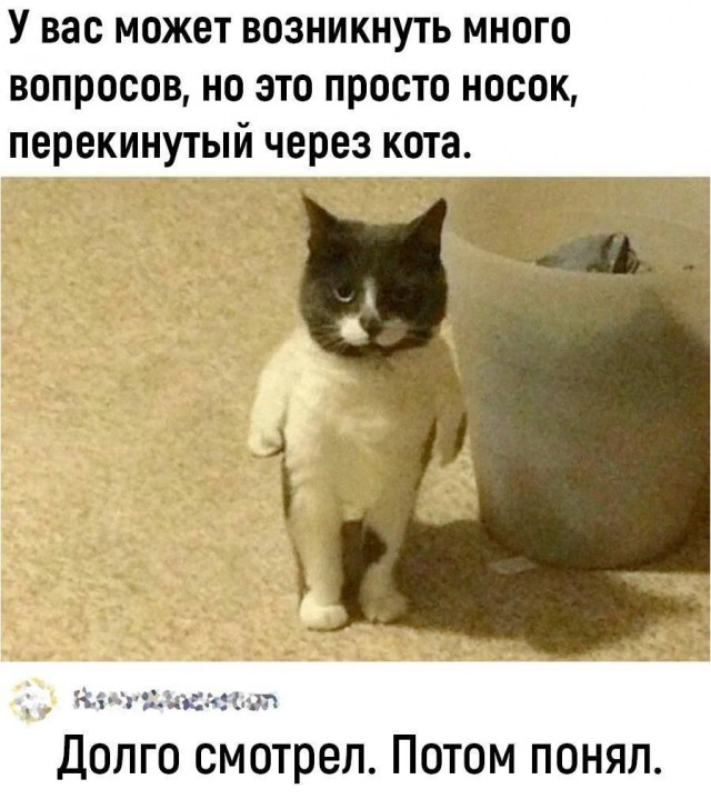 Школа джедаев. Начало