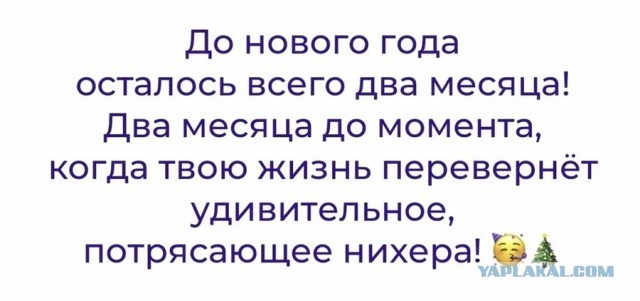 Всего понемногу. От 10.11.23