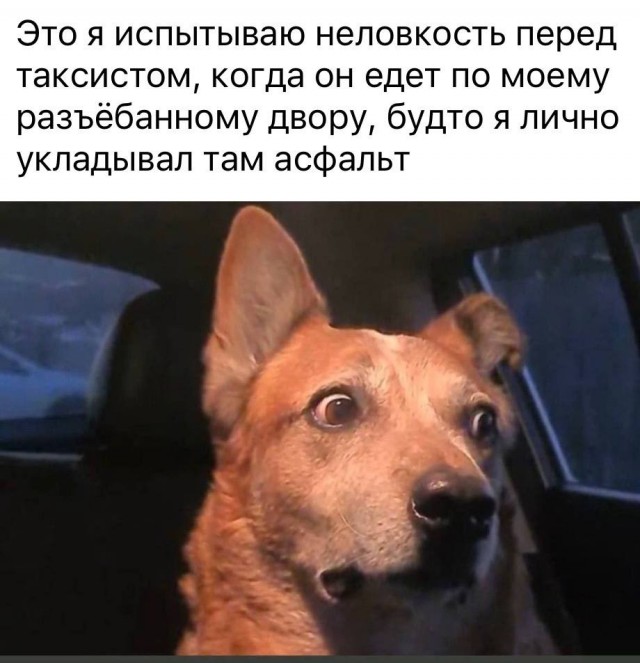 Весёлый полтишок 18.01.24