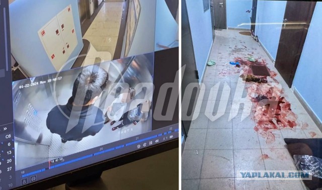 Дети мигрантов напали с ножом на соседа по дому.