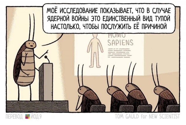 Нуштош 15.05.2024