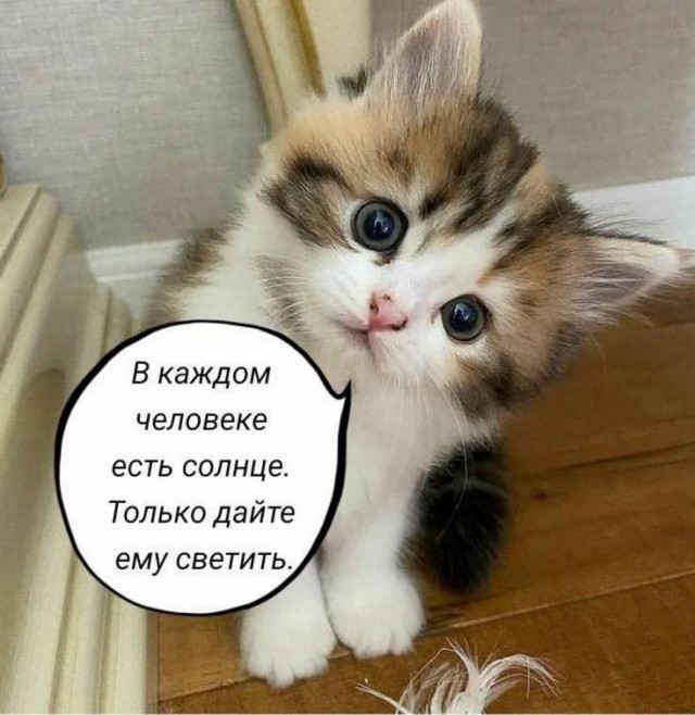 Картинки