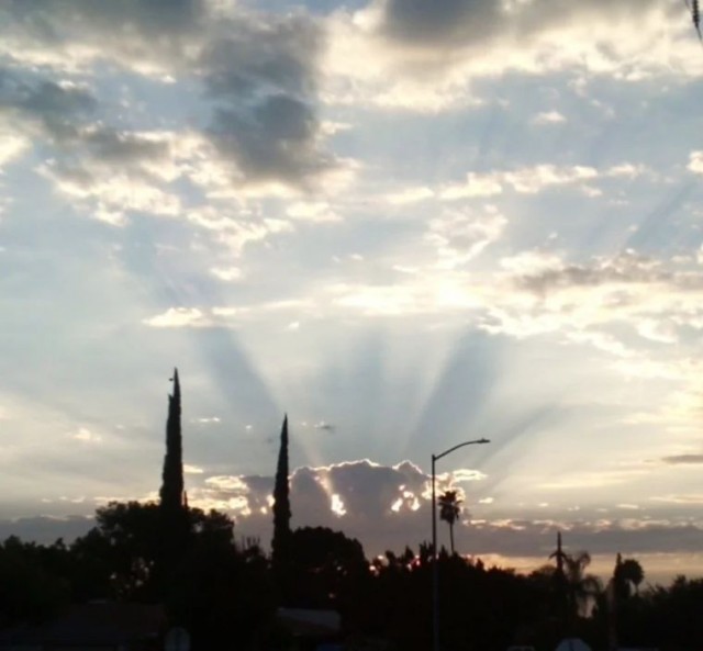 ФотоВинегрет