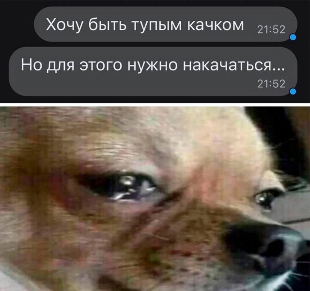 Сборник бабаянов или неожиданная помойка от Неждалигады