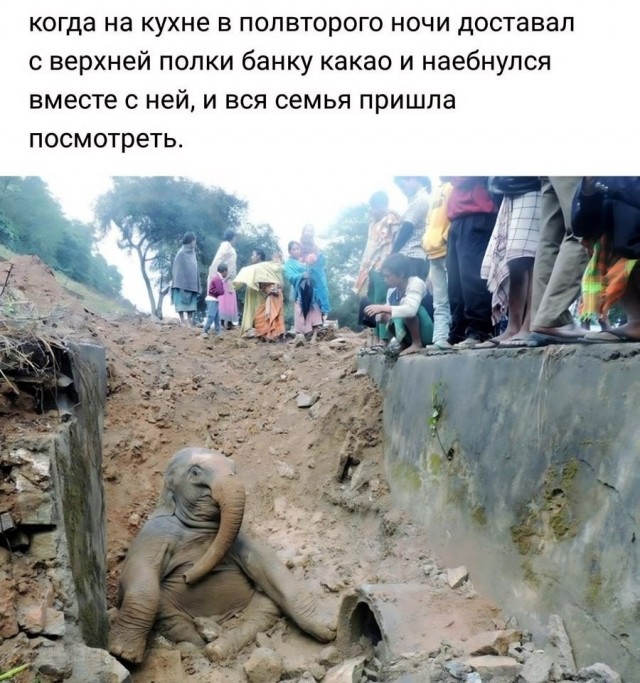 Завалялось тут случайно немного забавных картинок