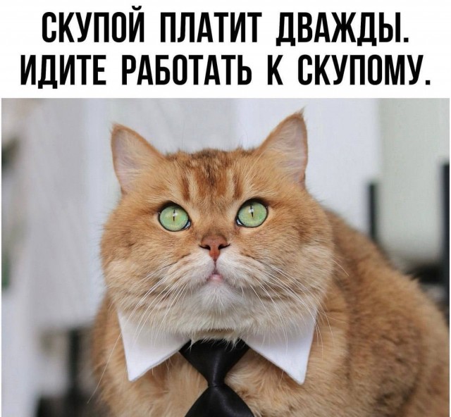 Низкие зарплаты. Кто реально виноват