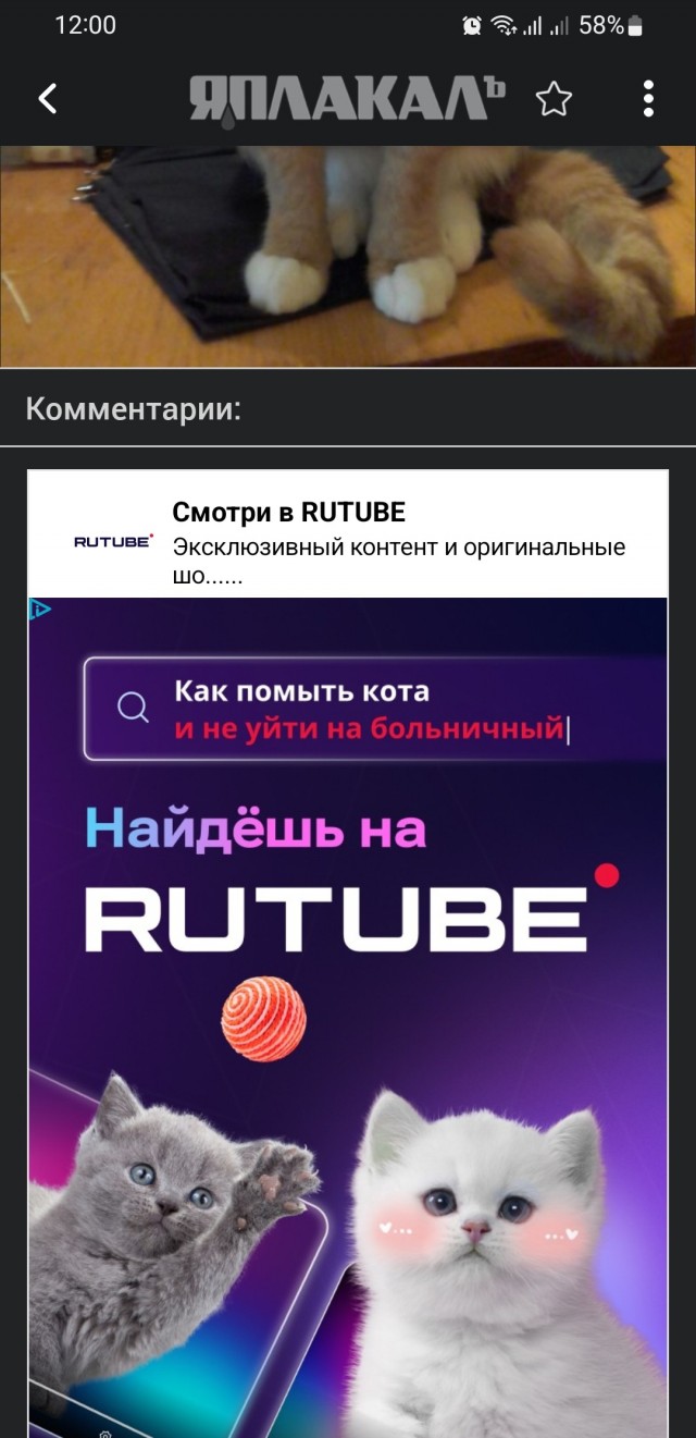 Вчера кота помыл