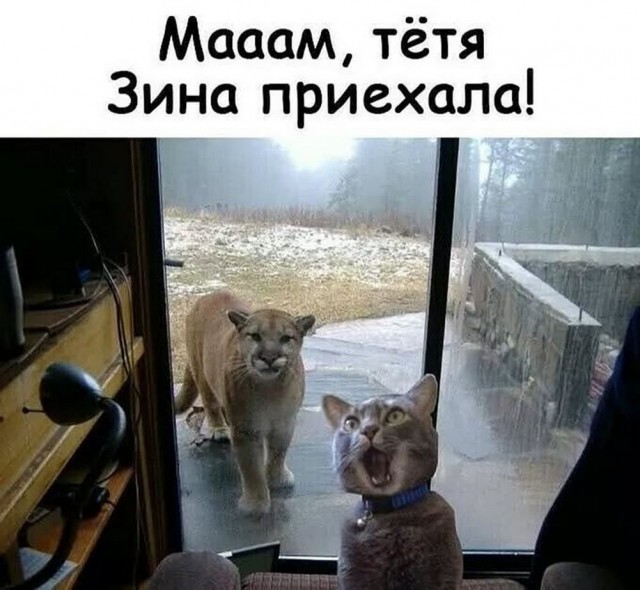Нуштош 25.12.2024
