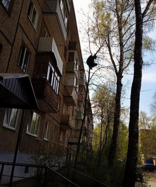 Псто (возможно без баянов)