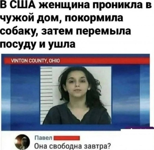 Юмор в картинках за пол дня и клуб приемных детей