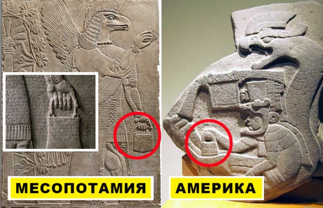 Сиськи