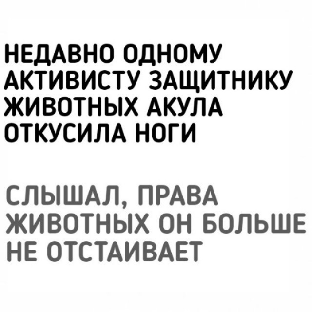 Разбавим унылое воскресенье отборной дичью