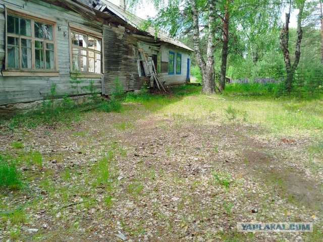«Почту России» заподозрили в уводе пенсионных денег и пособий на сторонние счета