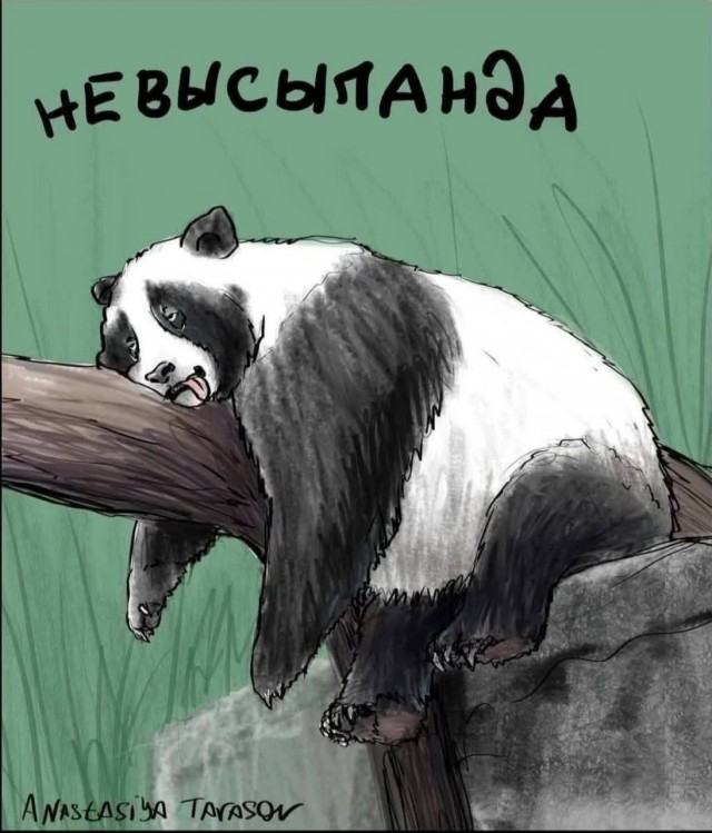 Кто вы в пятницу?!