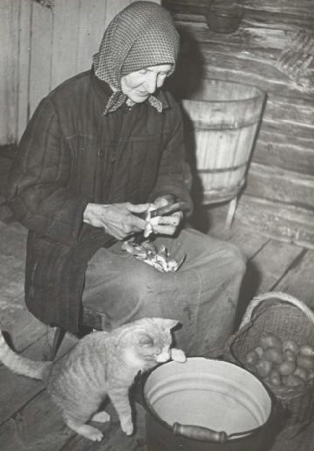 Про картошку