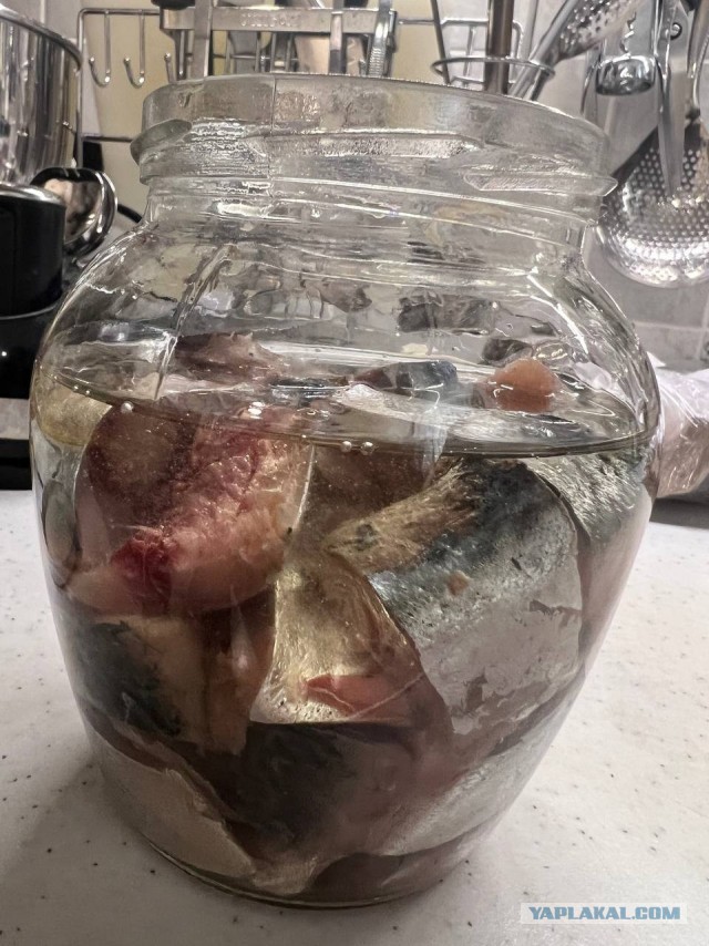 Скумбрия пряного посола