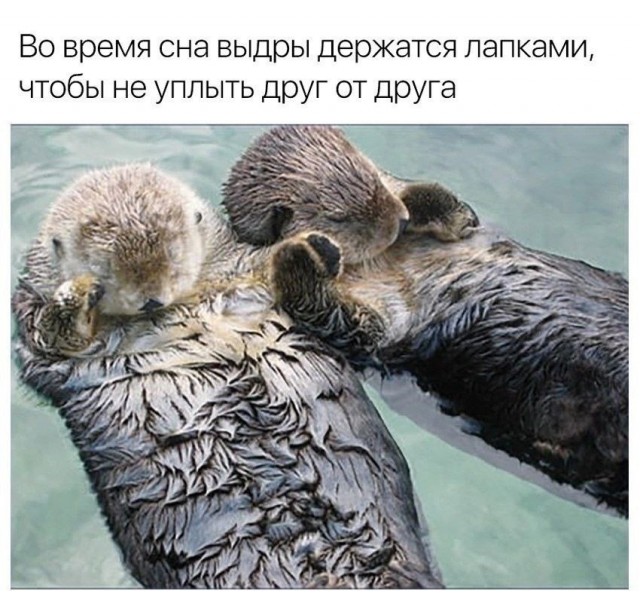 Воскресные картинки