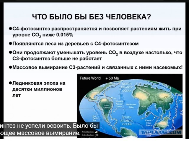 Альтернативная сборка: какой могла быть жизнь на Земле. Михаил Никитин Краткий пересказ одноименной лекции.
