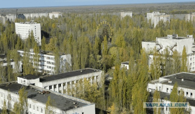 Атомград на болотах: планировка и архитектура Припяти