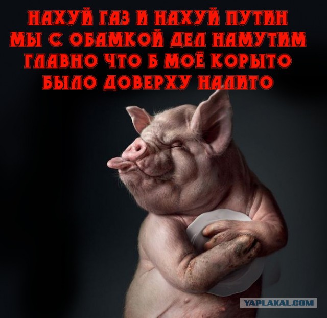 Порошенко: Украина не будет закупать газ в России