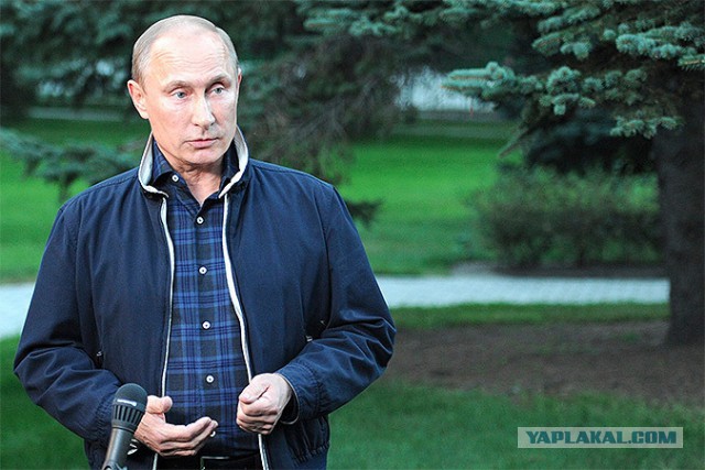Американцы признали поддержку Путина в России