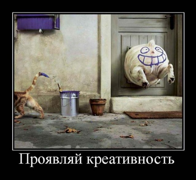 Подборка демотиваторов