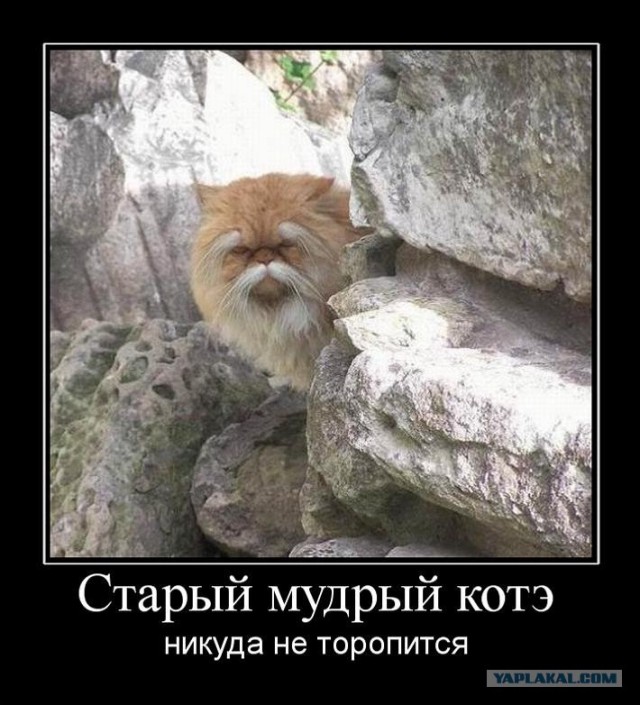Если я тороплюсь