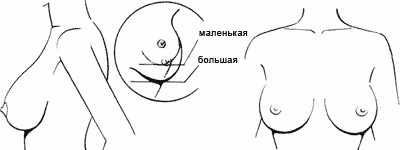 Тема сисек или как Рисовать женскую грудь.