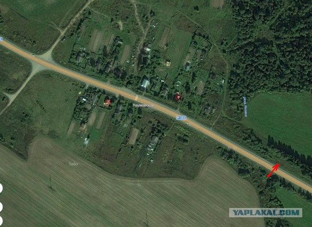 Знак не врет!