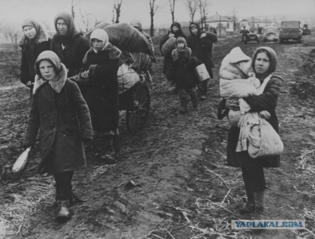 Посол Польши: Россия должна помочь с беженцами