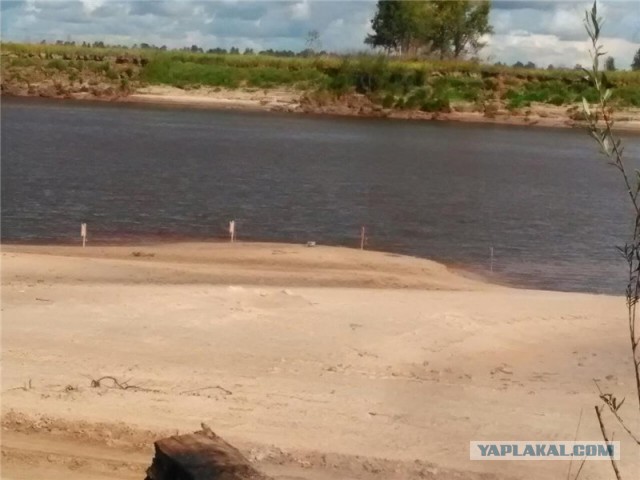 Как я провёл эти выходные