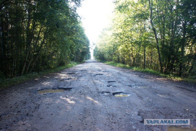 Поиск родственников