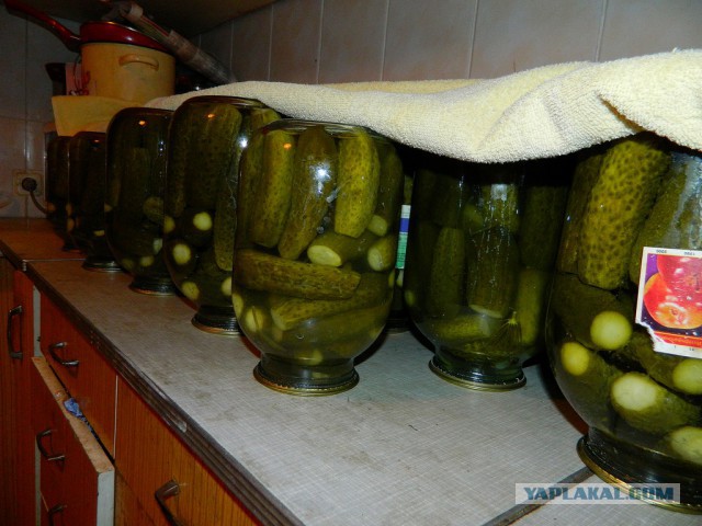 Больше, чем еда…