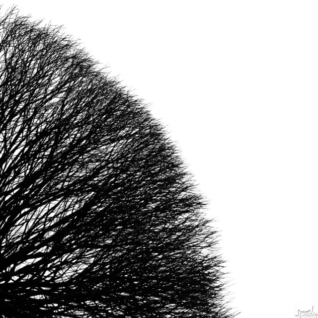 Фотографии победителей премии Best of Russia — 2015