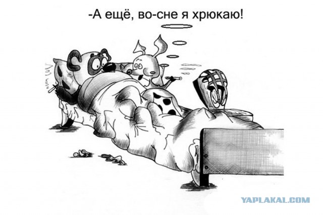 Пошлые картинки