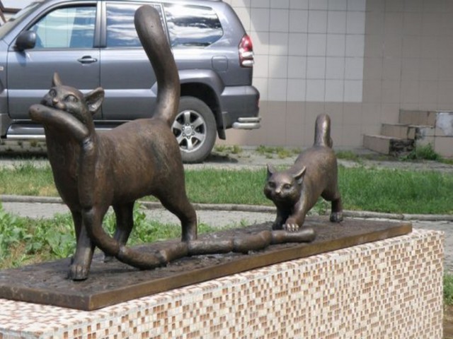 Коты, которые пытались что-то украсть