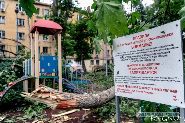 Сильная гроза в Москве и ее последствия