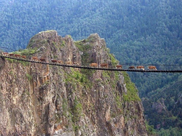 Фото интересные и не только