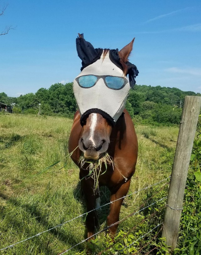 Подборка интересных и веселых картинок