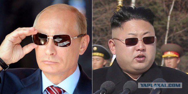 Выборы