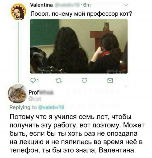 Почему бы не подеградировать, коллеги?