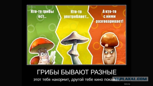 Художник нарисовал медведя и добавлял к нему одного персонажа в день, и вот что вышло